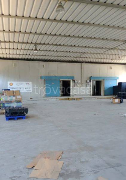 immagine annuncio 4 di 9