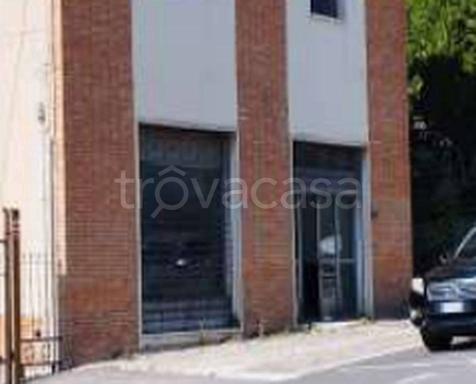 immagine annuncio 5 di 11