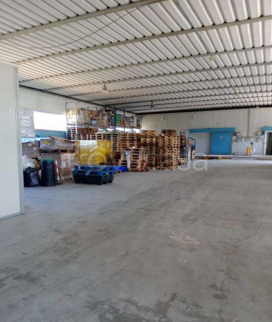 immagine annuncio 5 di 9