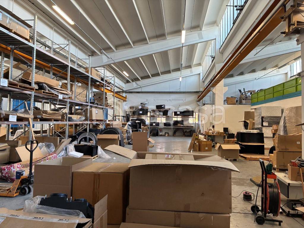 immagine annuncio 10 di 15