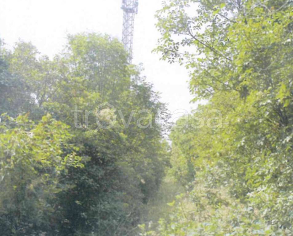 immagine annuncio 3 di 11