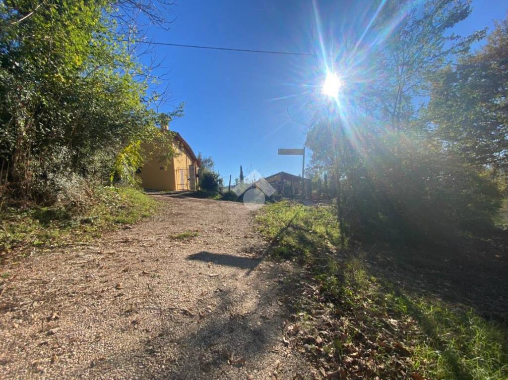 immagine annuncio 2 di 14