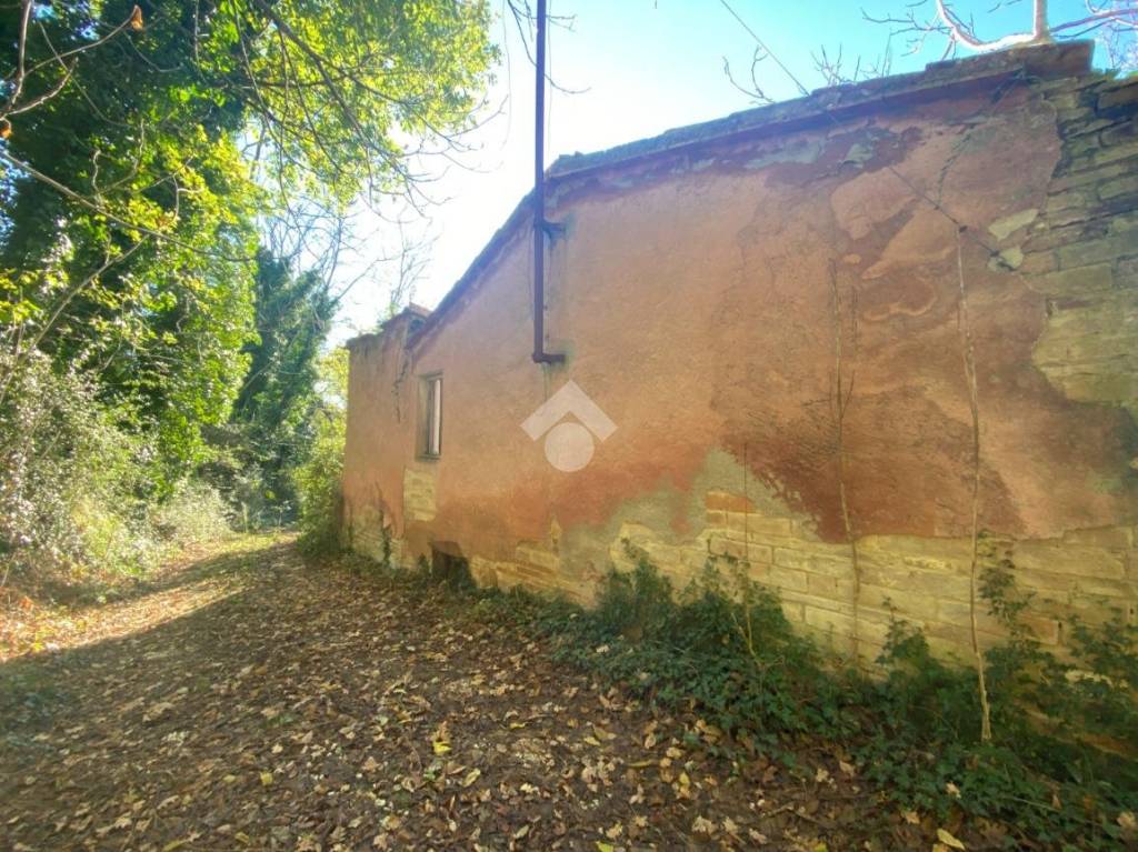 immagine annuncio 3 di 14