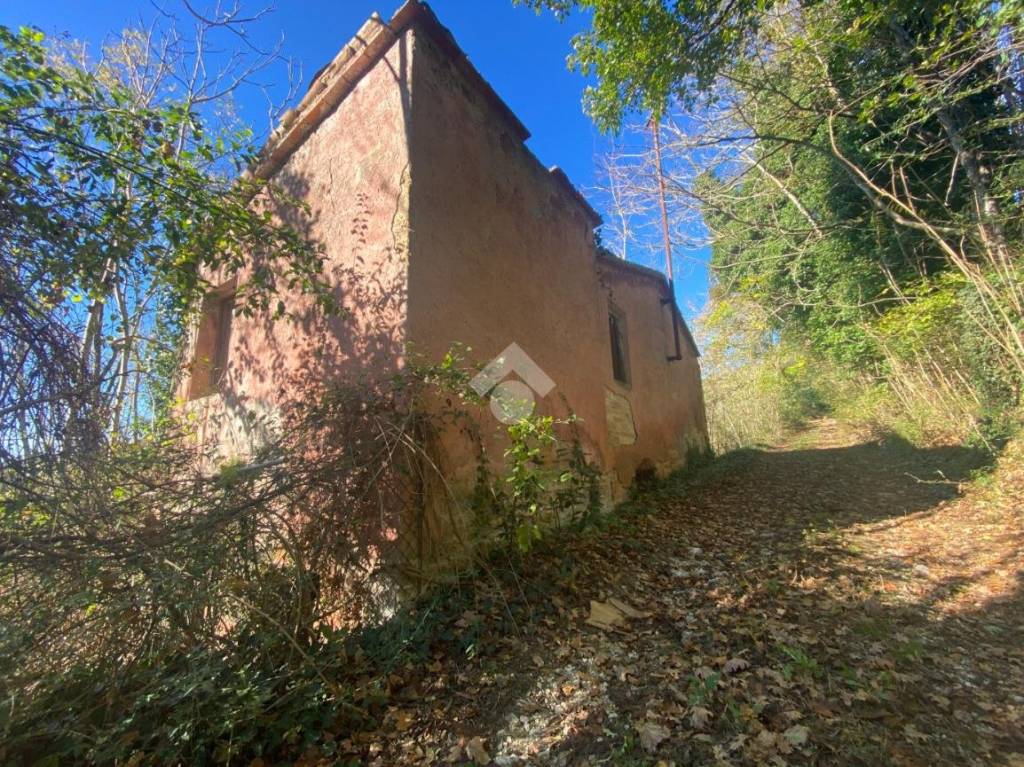 immagine annuncio 4 di 14