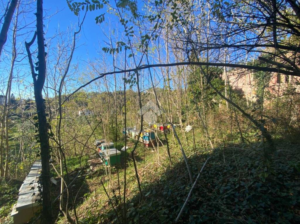 immagine annuncio 5 di 14