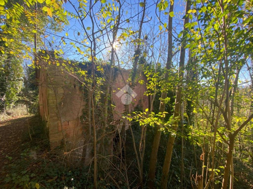 immagine annuncio 6 di 14