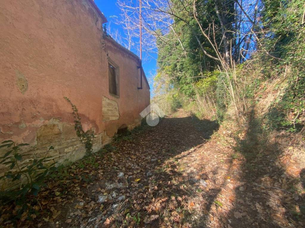 immagine annuncio 9 di 14