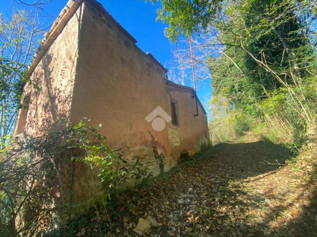 immagine annuncio 10 di 14