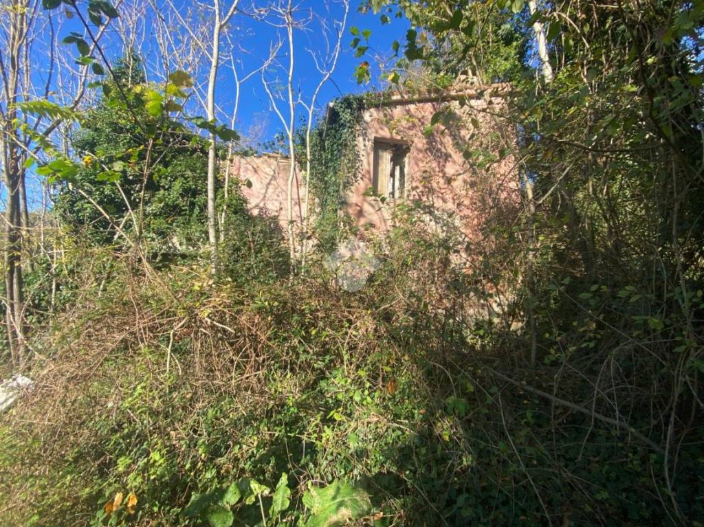 immagine annuncio 11 di 14