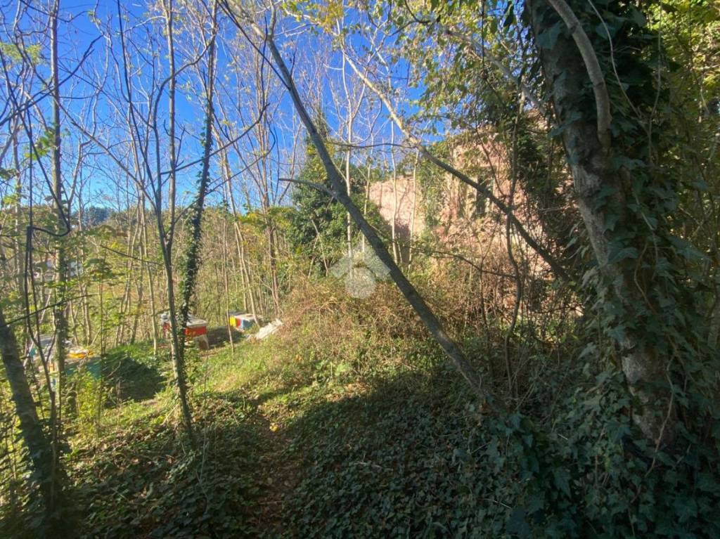 immagine annuncio 13 di 14