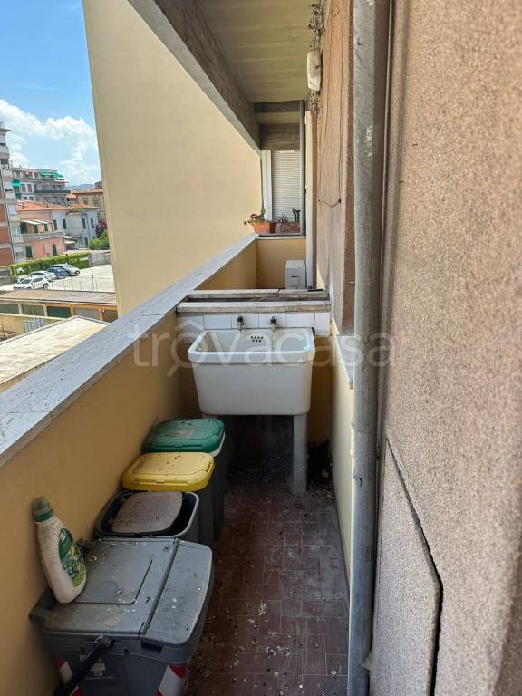 immagine annuncio 3 di 12