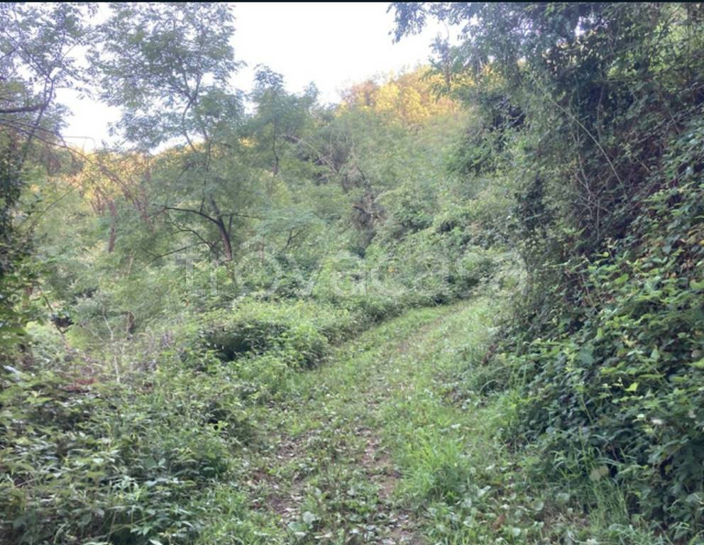 immagine annuncio 8 di 9