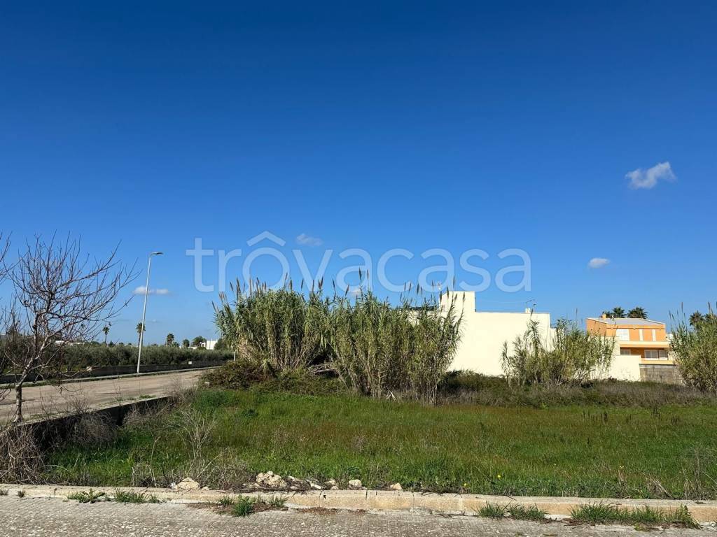 immagine annuncio 4 di 10