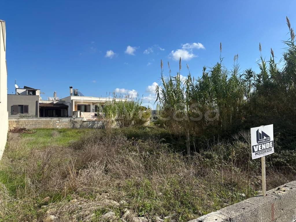 immagine annuncio 5 di 10