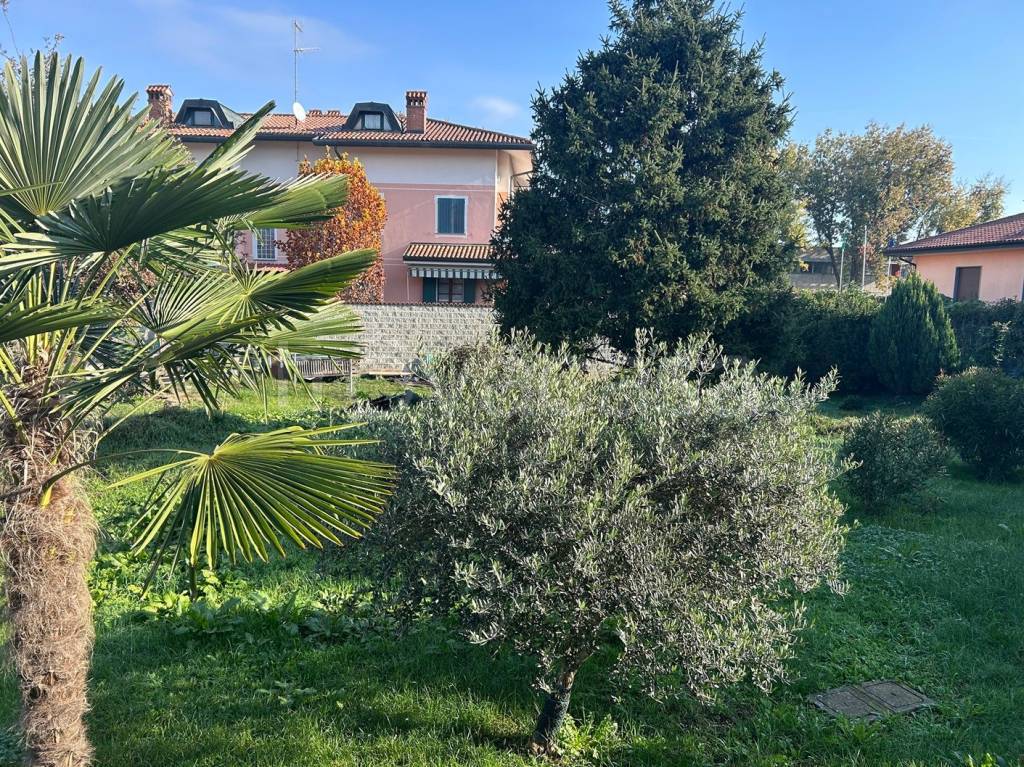 immagine annuncio 3 di 15