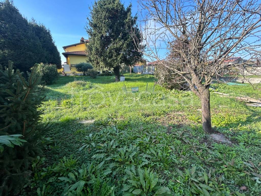 immagine annuncio 12 di 15