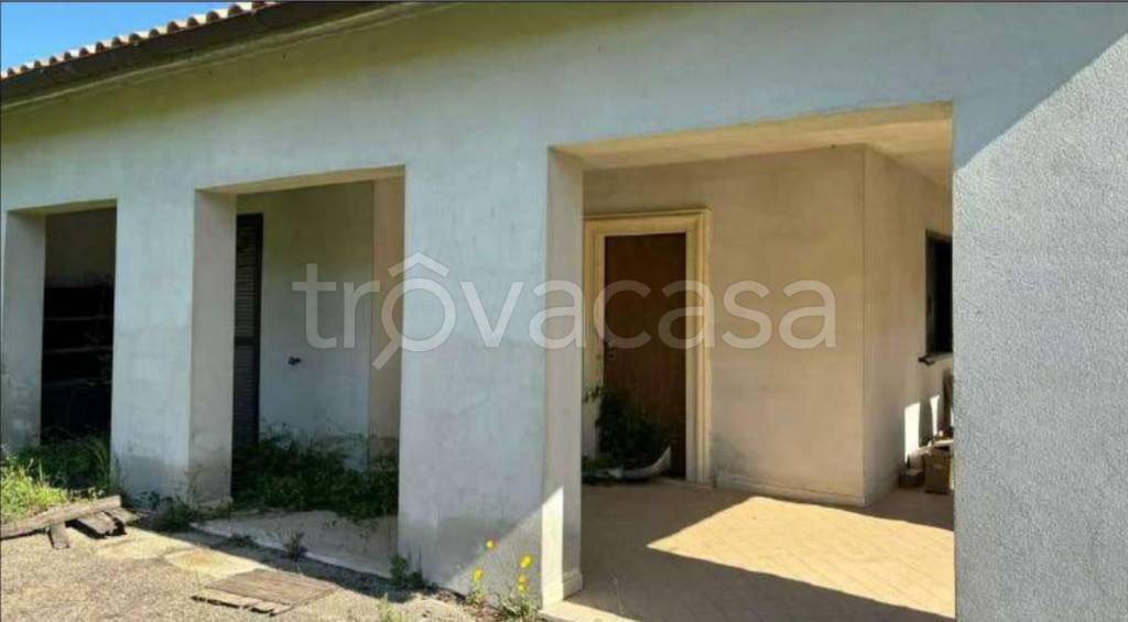 immagine annuncio 7 di 12