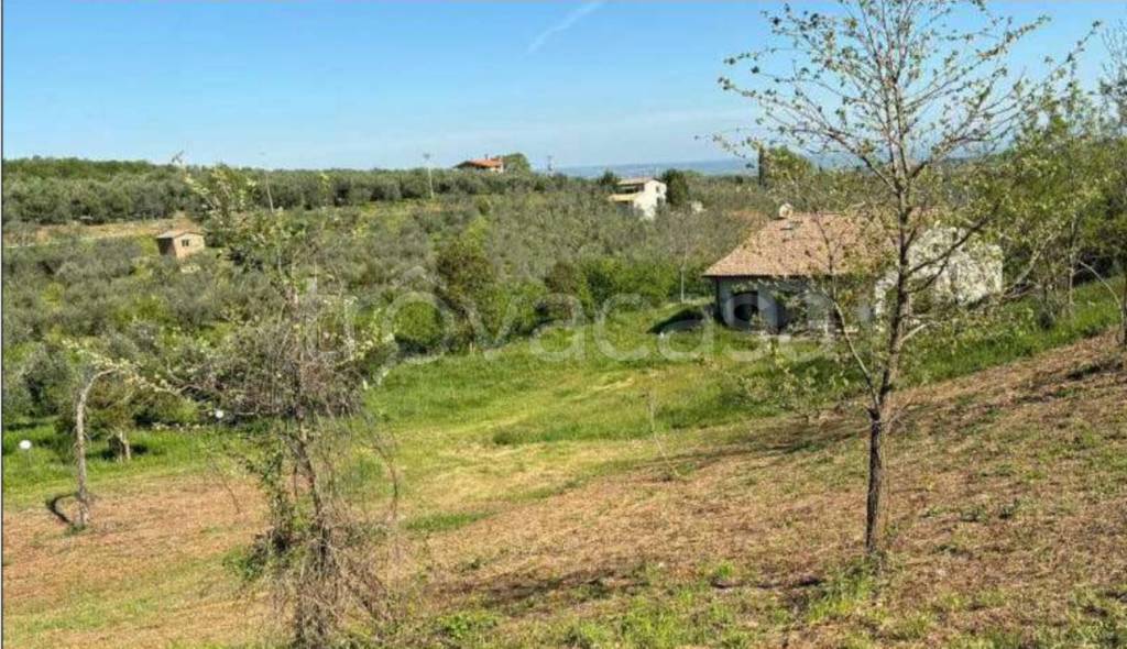 immagine annuncio 8 di 12