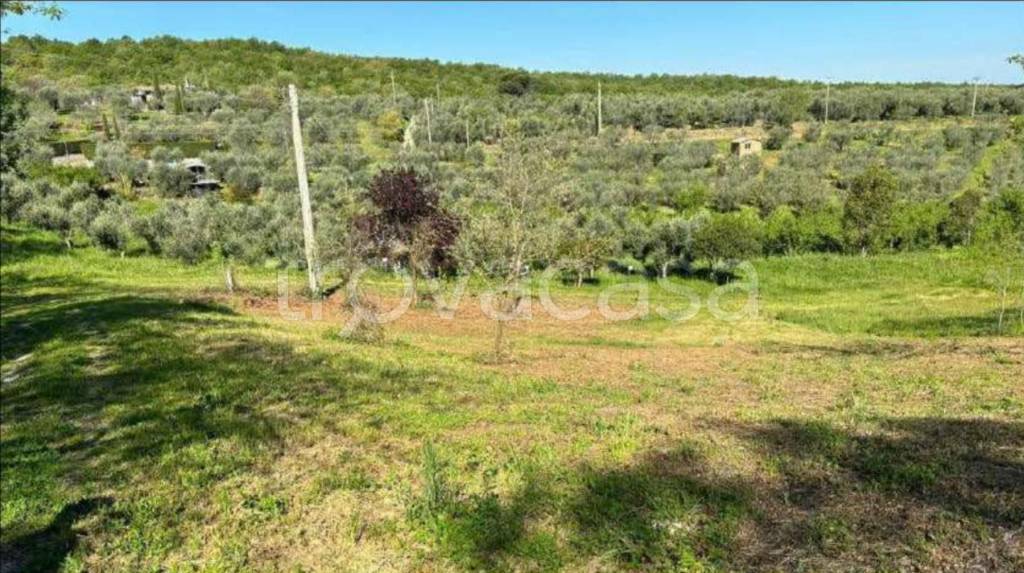 immagine annuncio 9 di 12