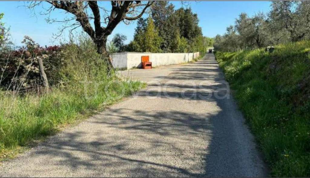 immagine annuncio 11 di 12