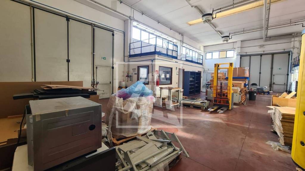 immagine annuncio 9 di 15