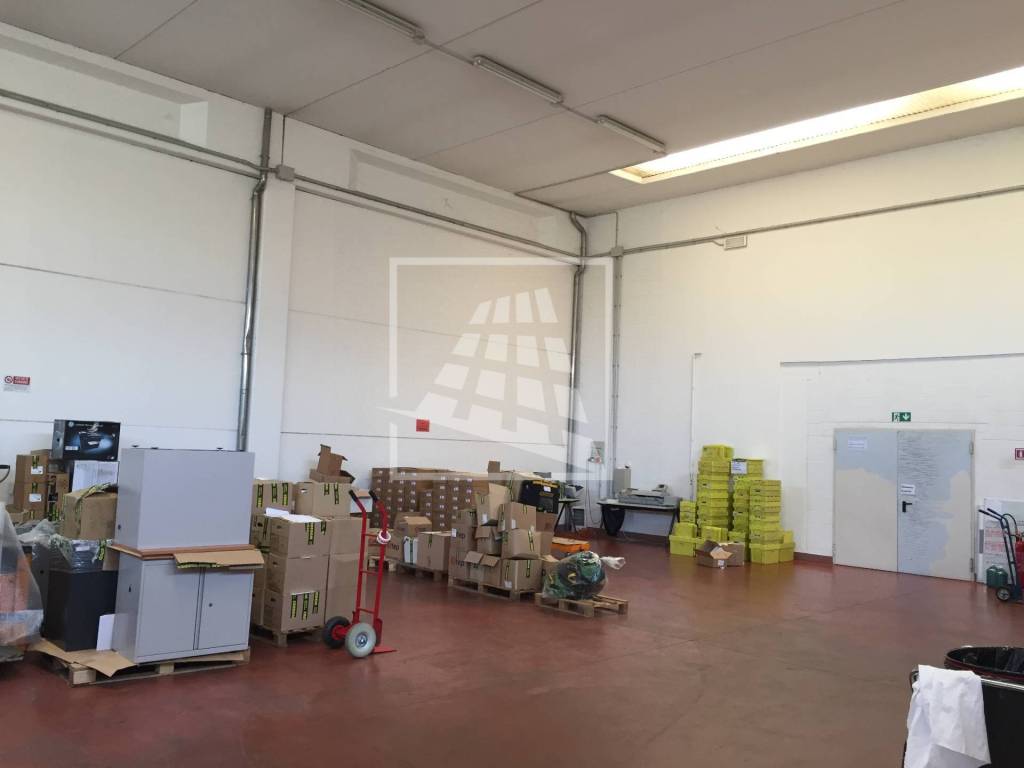 immagine annuncio 10 di 15