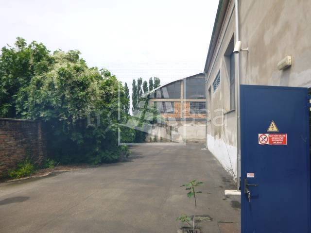 immagine annuncio 10 di 14