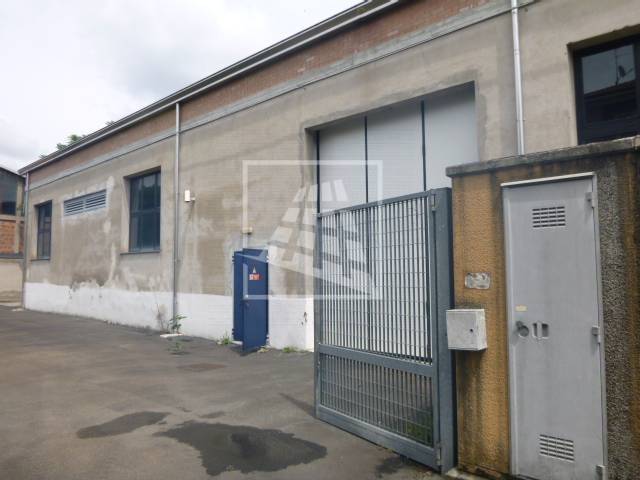 immagine annuncio 11 di 14