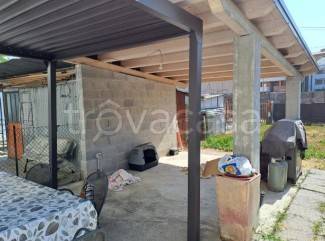 immagine annuncio 2 di 14