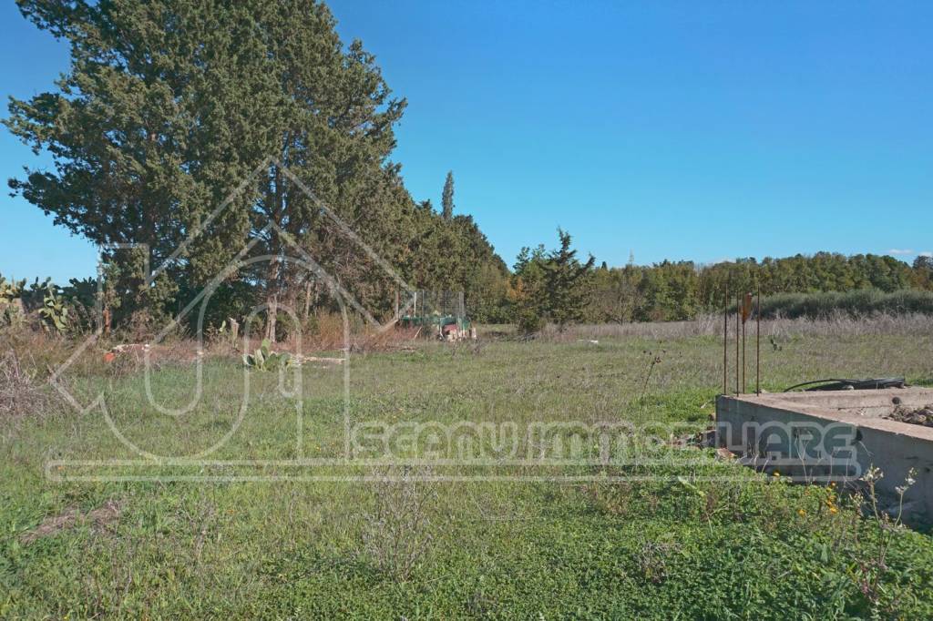 immagine annuncio 4 di 8