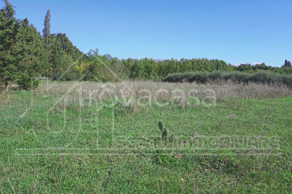 immagine annuncio 6 di 8