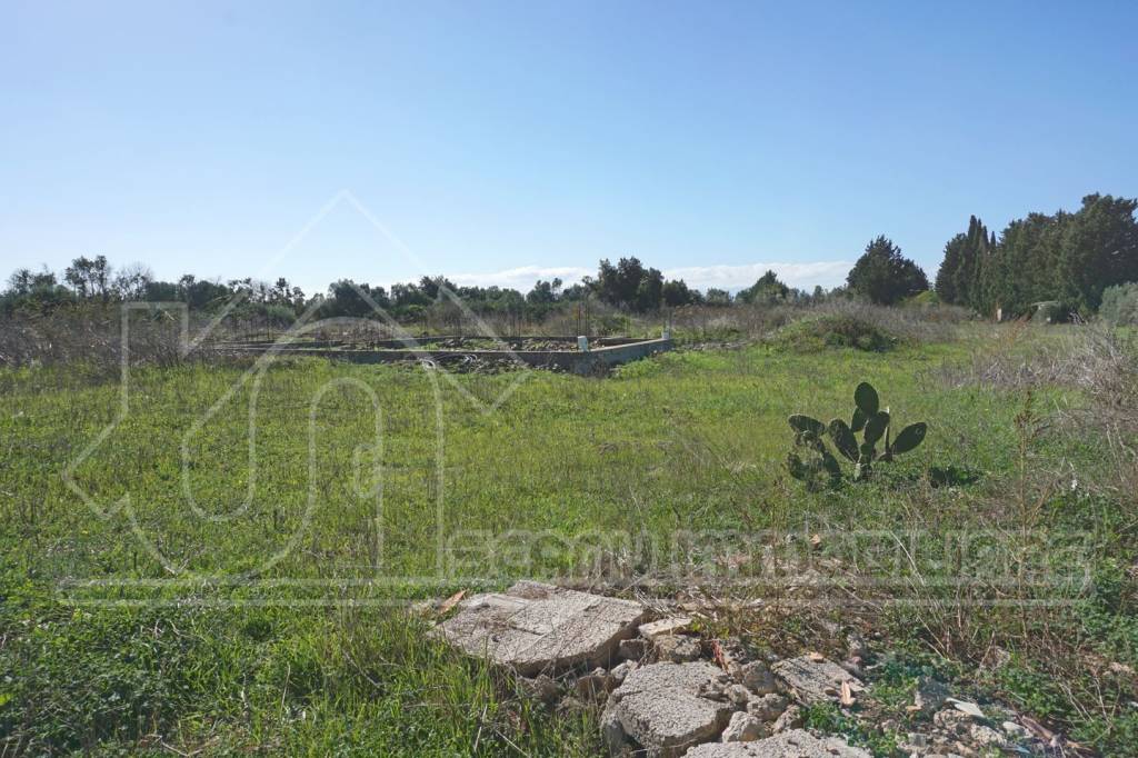 immagine annuncio 7 di 8