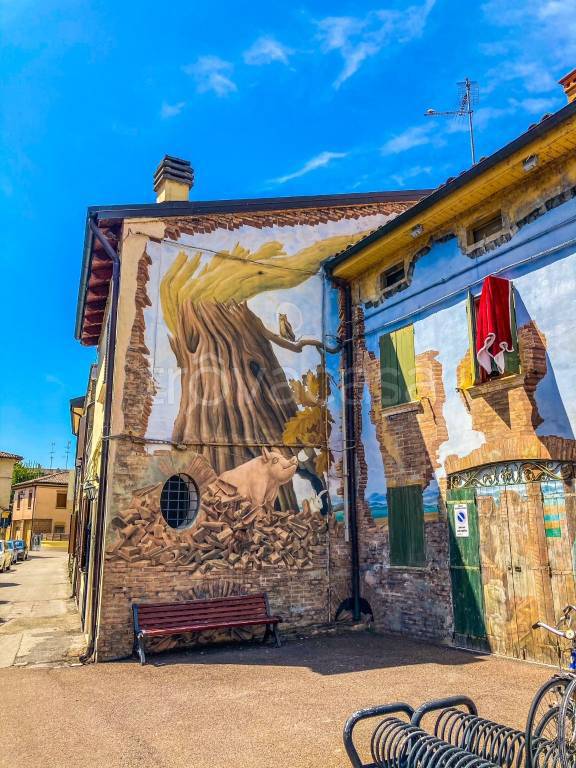 immagine annuncio 4 di 15