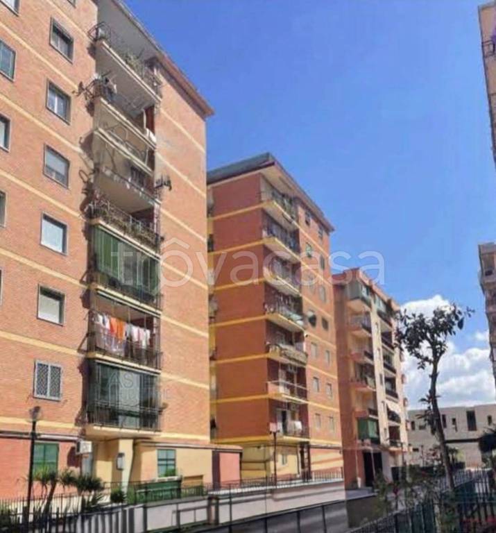 immagine annuncio 9 di 11