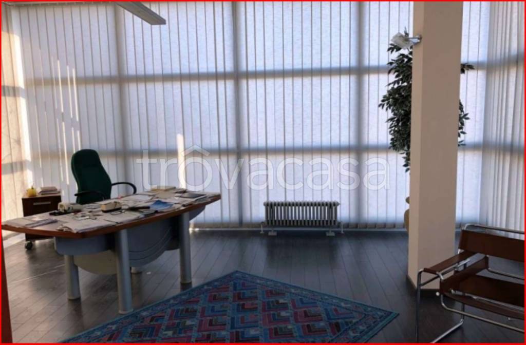 immagine annuncio 9 di 12