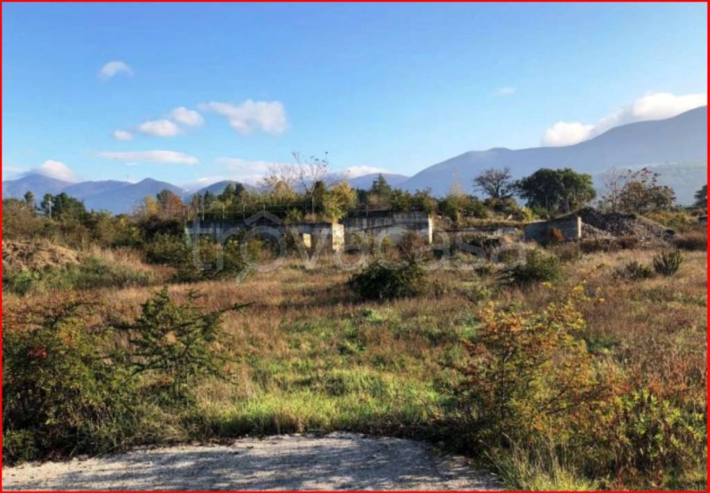 immagine annuncio 10 di 12