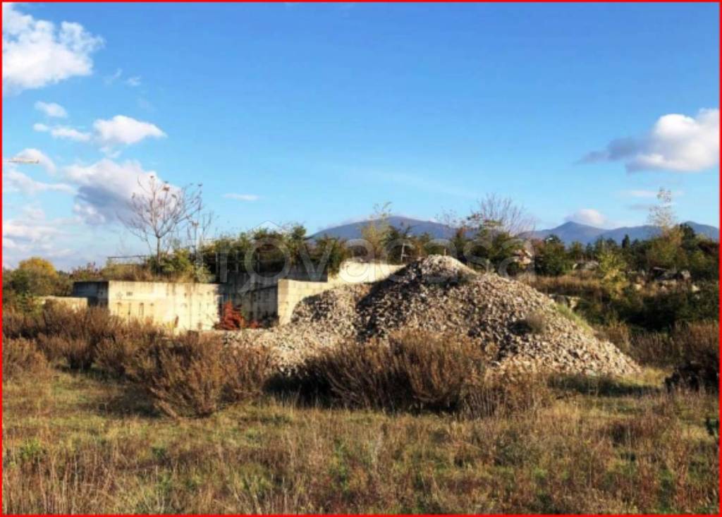 immagine annuncio 11 di 12