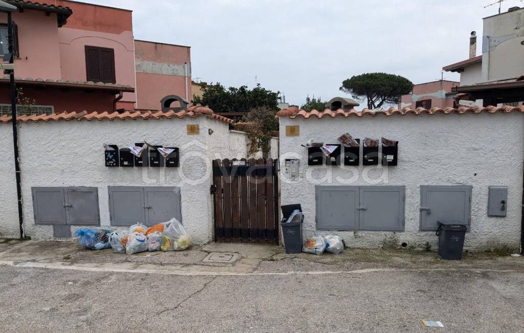 immagine annuncio 1 di 12