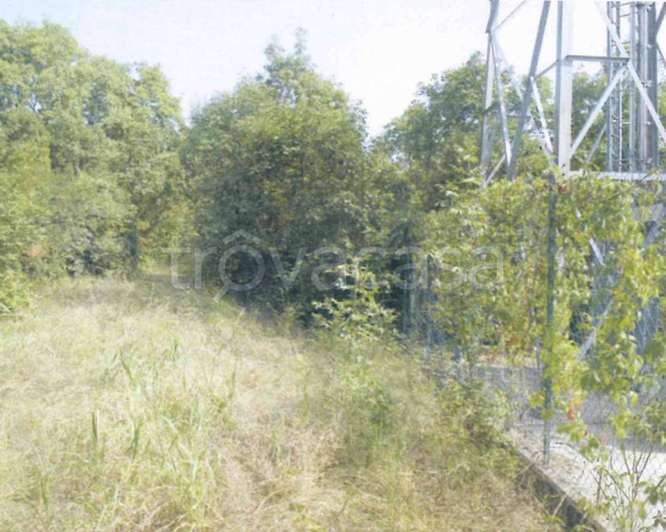 immagine annuncio 5 di 9