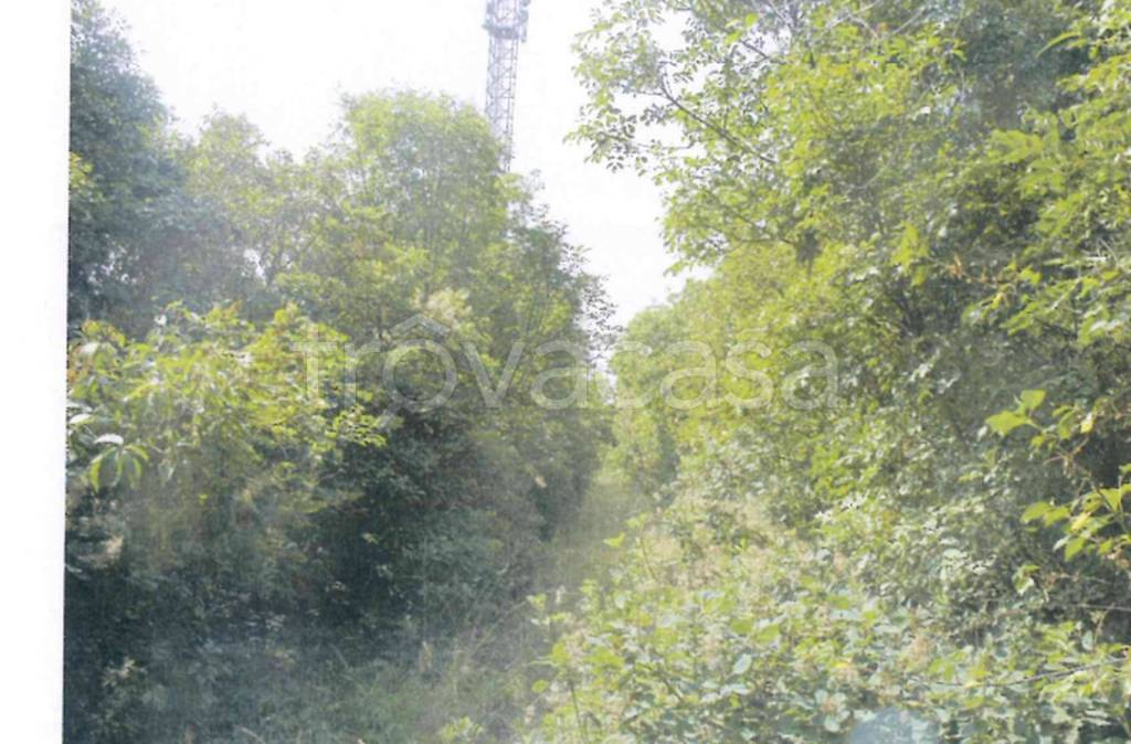 immagine annuncio 7 di 9