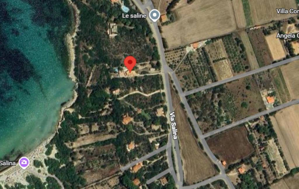 immagine annuncio 6 di 12