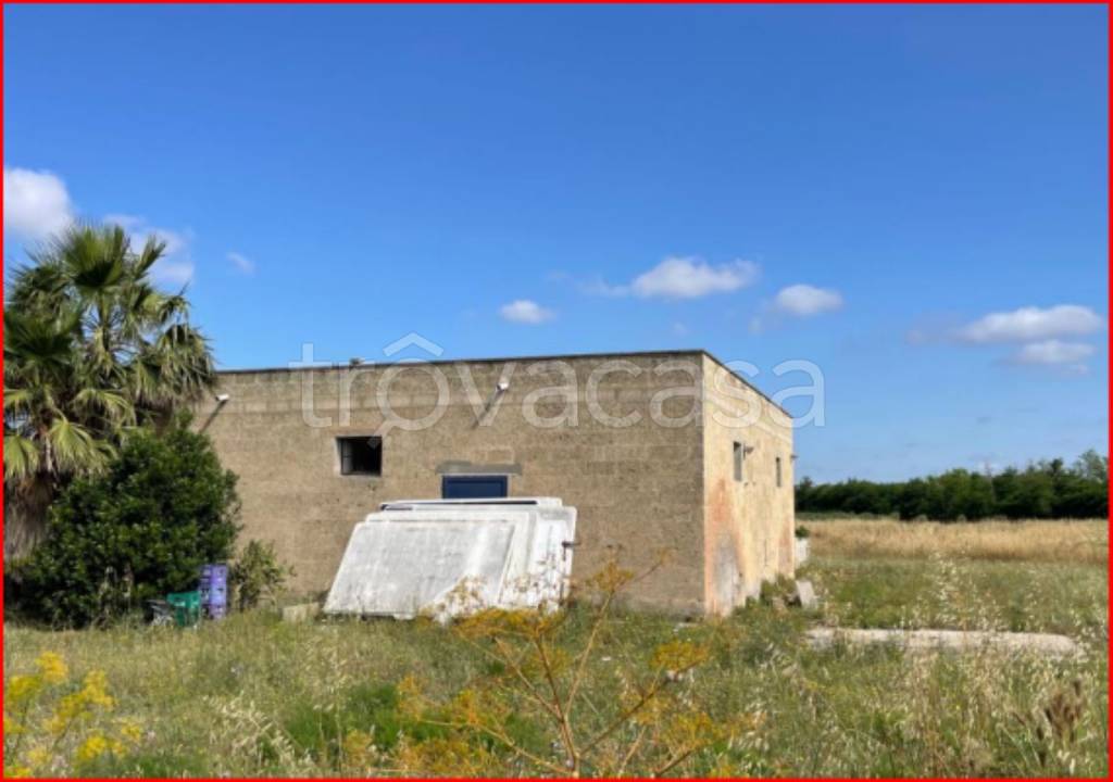 immagine annuncio 2 di 11