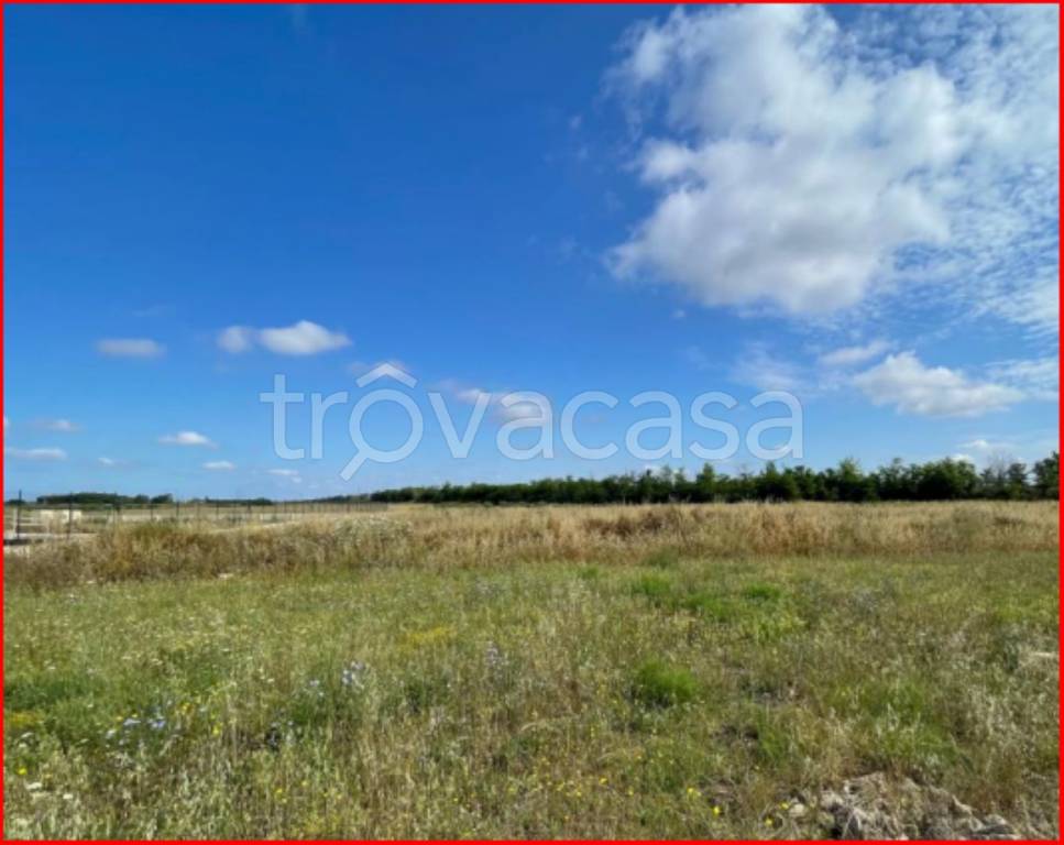 immagine annuncio 8 di 11