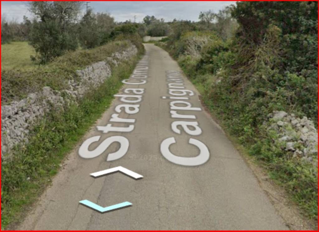 immagine annuncio 10 di 11