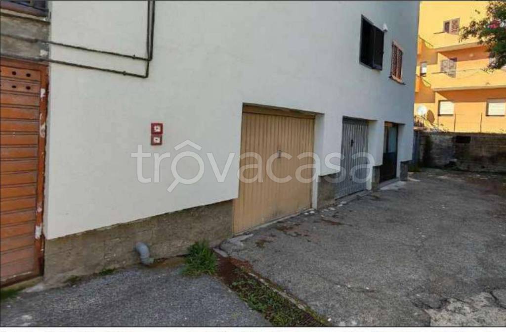 immagine annuncio 12 di 14