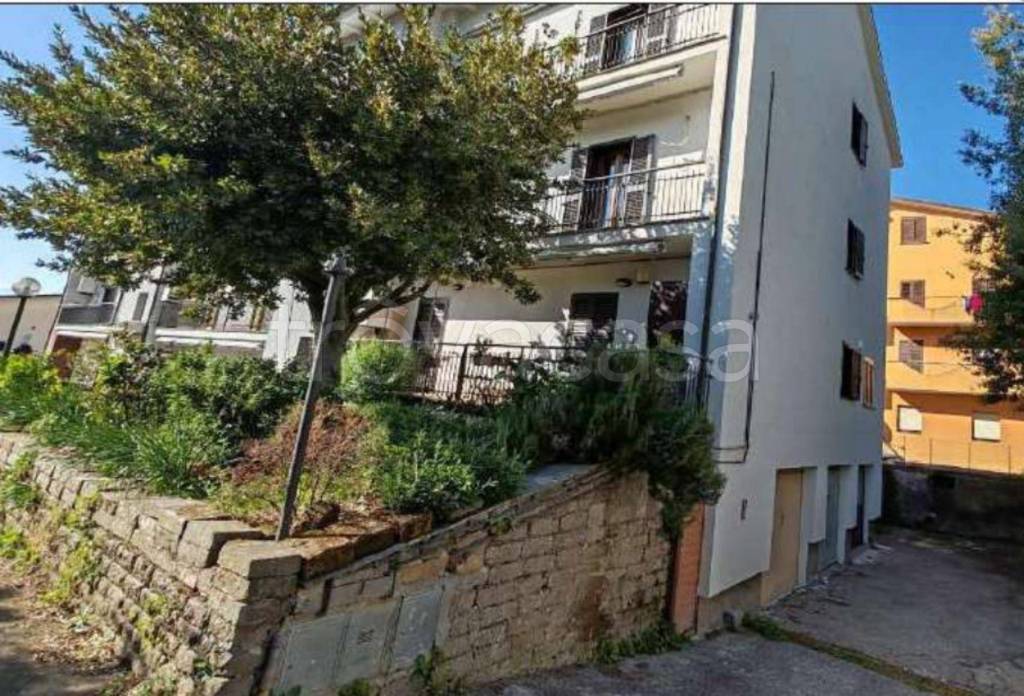 immagine annuncio 13 di 14