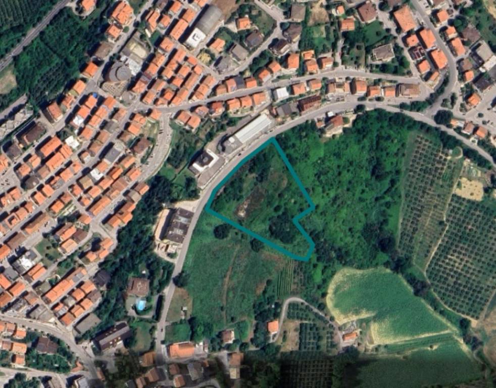 immagine annuncio 9 di 13