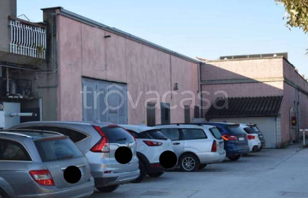 immagine annuncio 4 di 12