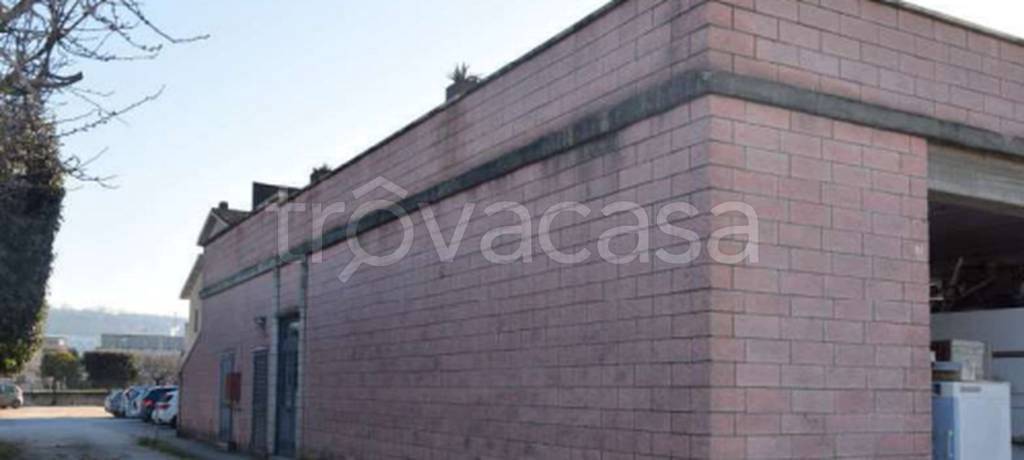 immagine annuncio 5 di 12