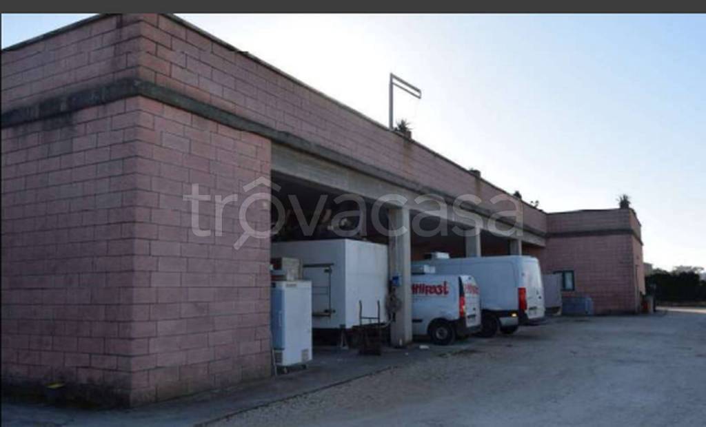 immagine annuncio 6 di 12